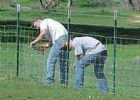 Chicken Wire Fence 